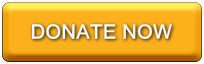 Orange Donate Button